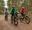 A family on bikes cycling in the forest