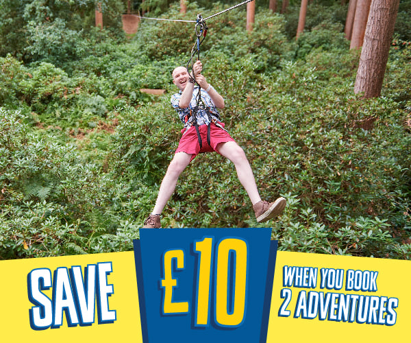 Go Ape Grizedale - Save £10 on a second adventure promo panel