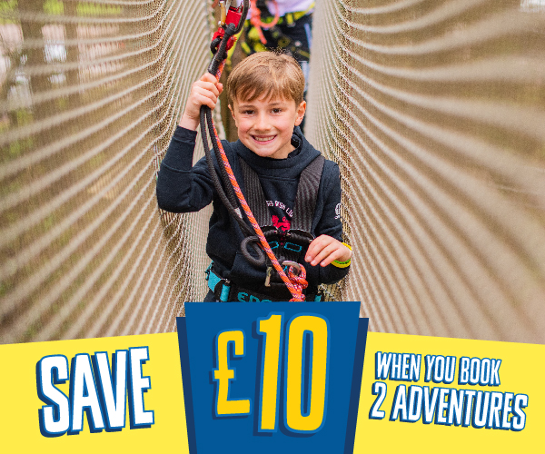 Go APe Bundle Offer Promo Panel