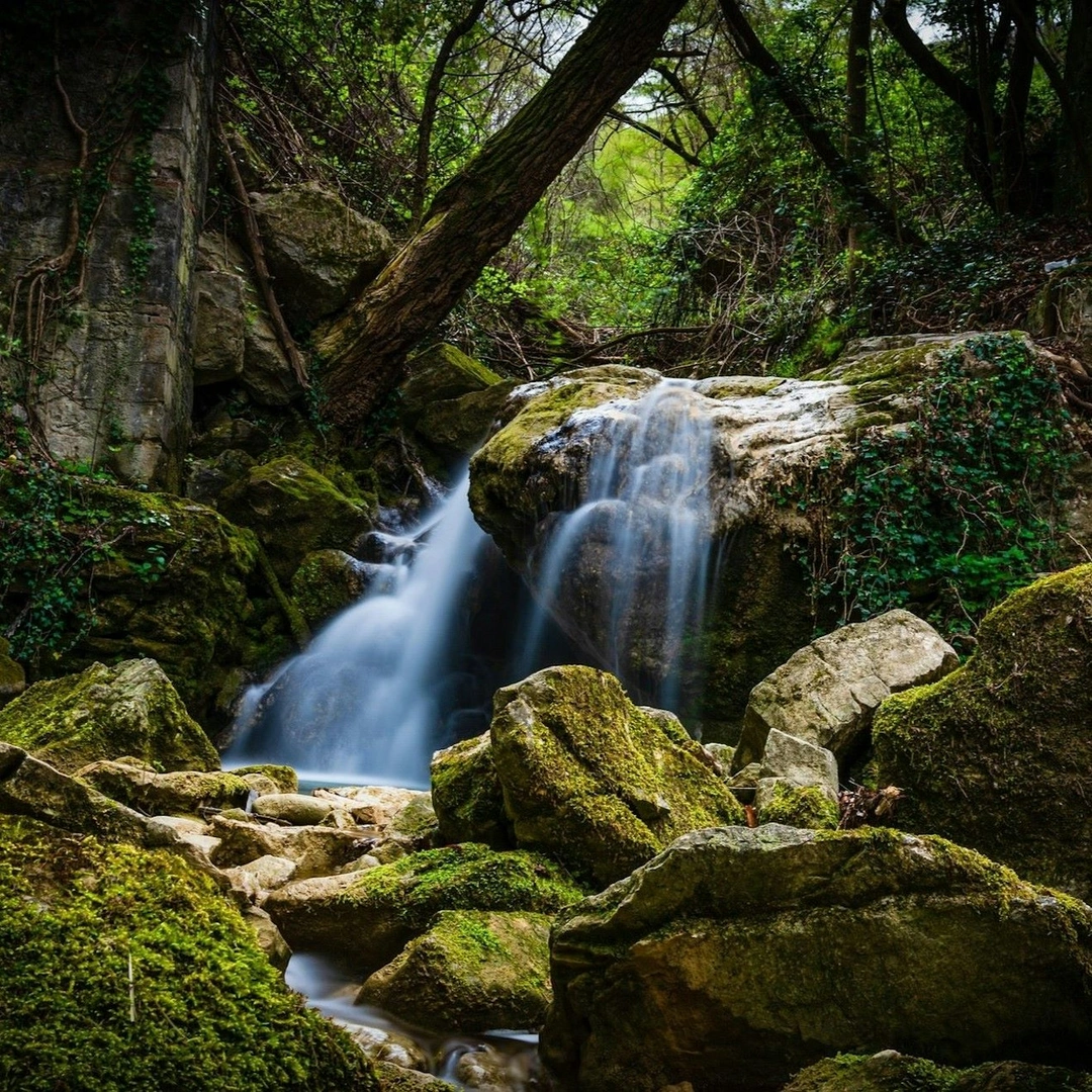 A waterfall in the forest