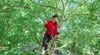 A woman on a Treetop challange course at Go Ape Chelmsford, the perfect day out for adults near London