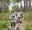 A group of people at Go Ape Bracknell Segway experience.