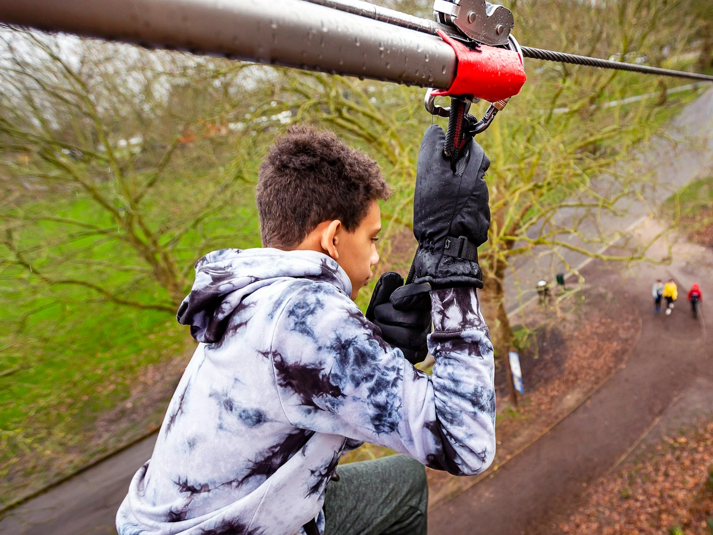 Treetop Family Discount