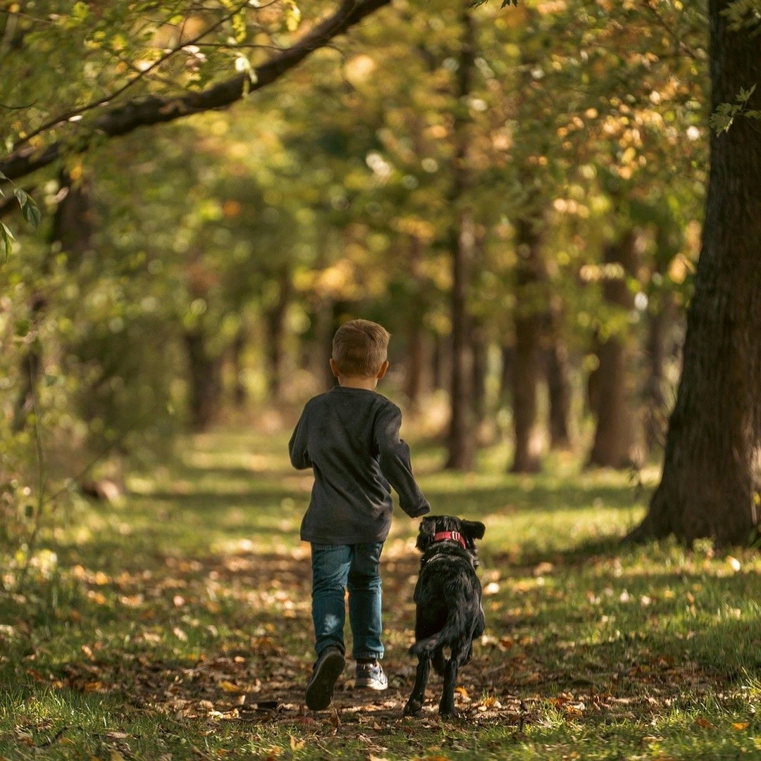 A boy walking his dog down a nature trail in the forest